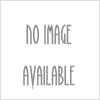 MotoTec 50cc Demon Yellow Sticker Kit